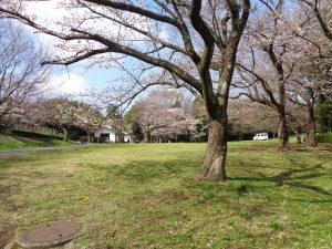 四季の森
